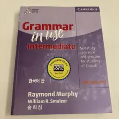 Grammar in Use Intermediate 韓国語版