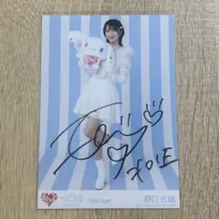 シナモン　野口衣織　直筆