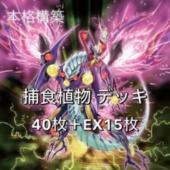 本格構築 プレデダー デッキ 捕食植物 - メルカリ