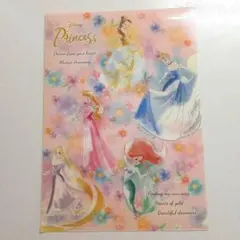 Disney Princess クリアファイル 5人集合