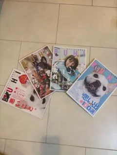 BUHI 2022年春・夏・秋・冬号　4冊セット　まとめ売り　フレブル　雑誌