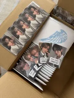 TWS play hard compact ver7形態5セットランダム5枚