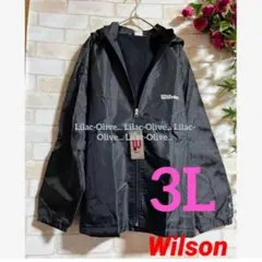 Item thumbnail for item efbf9daa-8b5b-48e1-9b04-e5d23fe14178