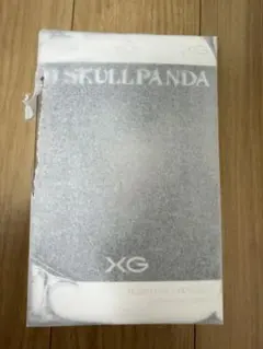 POP MART SKULLPANDA スカルパンダ XG 日本限定 1個
