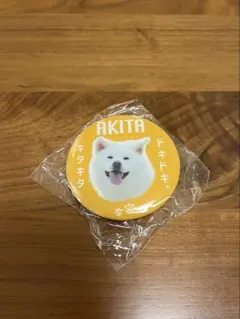 Item thumbnail for item 45326773-ac93-4e53-af60-9171791c6854