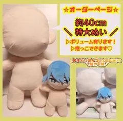 【数量限定！GWセール☆合計金額より5000円引き】約40cmぬいオーダーページ