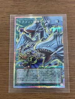 遊戯王 ドラゴン・導きの呼笛 プリシク　オーバーフレーム