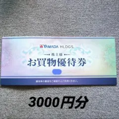 ヤマダ電機 お買物優待券 3000円分
