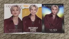 八木勇征BUTTERFLY EFFECTフォトカードコンプ シクレ