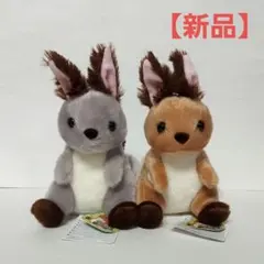 アマミノクロウサギ ぴょん太とお母さん アマミラビット工房 - メルカリ