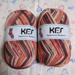 Item thumbnail for item 8d2ecccd-7f33-42d0-8583-7d458572fbb4