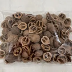 小さめかわいいくるみの殻ハーフ　70〜80個