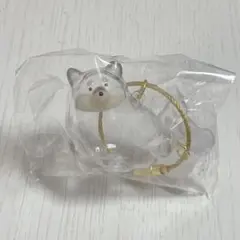 うちの子のけだまだま 黒柴(限定アソート) ガチャ 犬のけだまだま