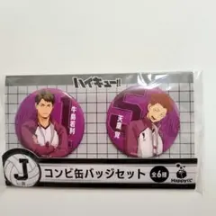 ハイキュー!! コンビ缶バッジセット
