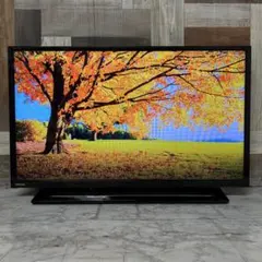全国送料込❣️東芝32型地デジBSCSテレビWチューナー外付HDD - メルカリ