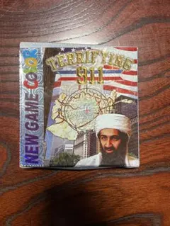 Terrifying 911 英語版　ゲームボーイソフト 激レア　ジャンク