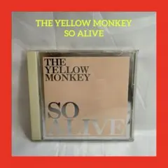 Item thumbnail for item 17627b08-e2fd-40fc-a890-51d3c55ce049