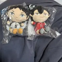 ハイキュー　一番くじ　c賞&F賞