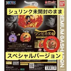 ワンピの実 グランドカプセルvol.2 special color