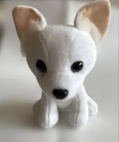 レア　チワワ　犬　ぬいぐるみ　マスコット　平成レトロのサムネイル