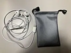 USB-C 有線イヤホン 収納ポーチ付き