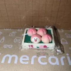 【箱入り桃文鳥】ミニチュア　concombre