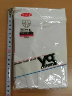 グンゼ YG SPORTS メンズ ブリーフ Lサイズ