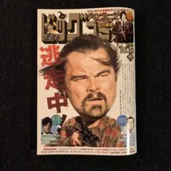 ビッグコミック