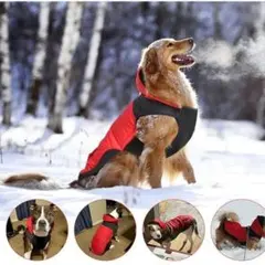 Item thumbnail for item 6ac0108f-6765-4ba6-959b-152d3f7a8079