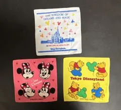 ディズニー 東京ディズニーランド タオルハンカチ3枚セット ミニー プーさん