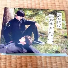 ドラマコンプリート2023秋honto限定特典 君には届かない。3枚セット