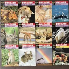 2026年最新】週刊朝日百科 動物たちの地球の人気アイテム - メルカリ