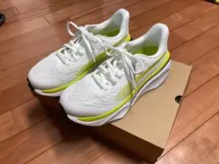 ティゴラ ランニングシューズ FT5/36 WHYL 2E　26cm