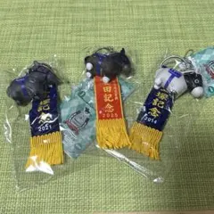 全種コンプセット 優勝レイ付きソフビフィギュアボールチェーン3