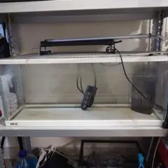 GEX 水槽 約60cm フィルター・ヒーター・LEDライト付き