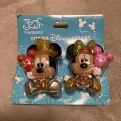 ディズニーランド　30周年　ライティングバッジ