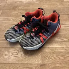 NIKE スニーカー　バッシュ　25cm