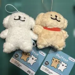 Maltese マスコット ぬいぐるみ 2種セット