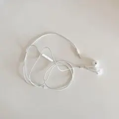 イヤホン　Apple  旧型