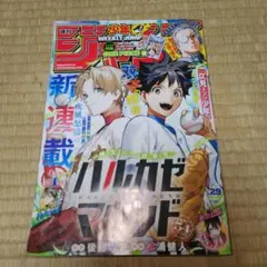 週刊少年ジャンプ 29号付録付き