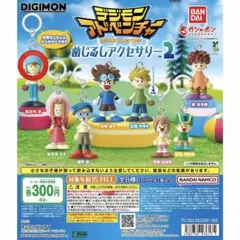 デジモンアドベンチャー　めじるしアクセサリー2 武乃内 空