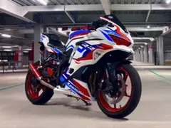 2026年最新】zx25r 車体の人気アイテム - メルカリ