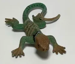 原色爬虫類トカゲ図鑑　クビワトカゲのサムネイル