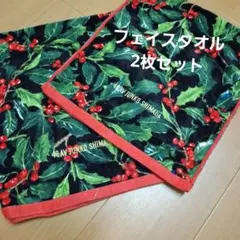 JUNKO SHIMADA フェイスタオル 2枚セット新品未使用のサムネイル