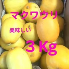 マクワウリ　美味しい 3Ｋｇのサムネイル