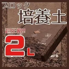 2026年最新】ココハスクチップの人気アイテム - メルカリ