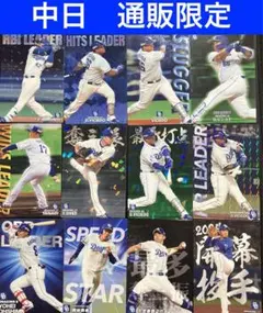 中日ドラゴンズ　通販限定　プロ野球チップス