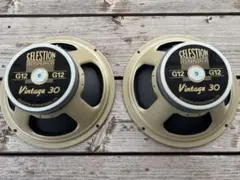 2026年最新】CELESTION vintage 30の人気アイテム - メルカリ
