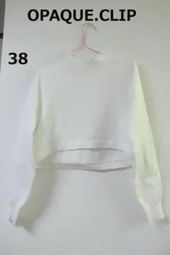 OPAQUE.CLIPハイネックショート丈カットソー38