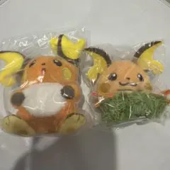 韓国限定　ポケモン　ポップアップ　ヘアピン　スマートトック　セット　ライチュウ